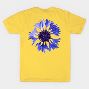 Cornflower T-Shirt